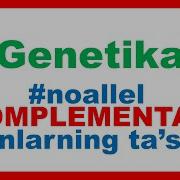 9 Sinf Biologiya Noallel Genlarning Oʻzaro Taʼsiri