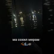 Чохил Ма Дами Марг Мерам