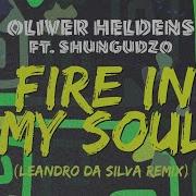 Leandro Da Silva Fire In My Soul Feat Shungudzo
