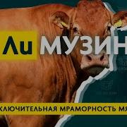 Книга Корова По Цене Копыт