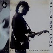 Tony Joe White The Path Of A Decent Groove Full Album Hq