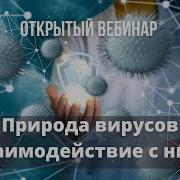 Природа Вирусов И Взаимодействие С Вами