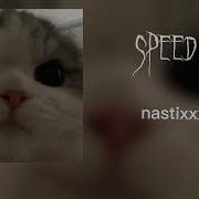 Бродяга Speed Up