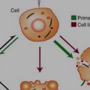 Plasma Medicine