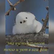 Верочкино Счастье