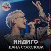 Индиго Дана Соколова Live