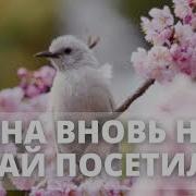 Весна Вновь Наш Край Посетила