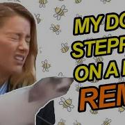 My Dog Stepped On A Bee Remix
