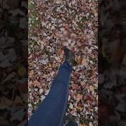А Я Люблю Осень Опавшие Листья
