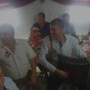 Гармонисты На Свадьбе