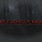 Из Леса Донесся Кашель