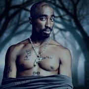 2Pac Fake