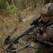 Программа Гражданское Оружие Арбалеты