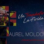 Aurel Moldoveanu Un Trandafir Creste La Firida Mea