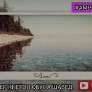 Хочи Мирзо Зани Чодугар