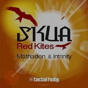 Skua Red Kites