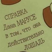 Справка Дана Марусе В Том Что Она Действительно Лошадь