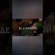 Никогда Не Перестану Пить Пока Не Сдохну