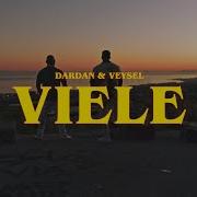 Viele Dardan Veysel