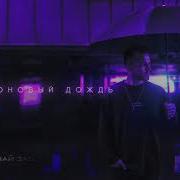 Хоми Неоновый Дождь