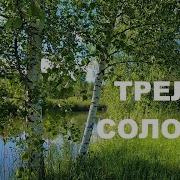 Солвьиные Трели