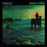 My Number Foals