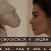 Красивые Видео С Цитатами