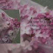 Апрельская Сирень Speed Up