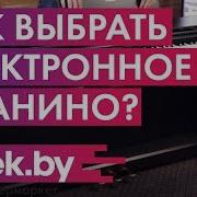 Знаменитые Пианисты 21 Века