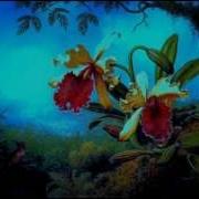 Orchids In The Moonlight Robert Farnon And His Orchestra