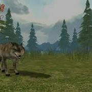 Wild Wolf Sim Main Theme