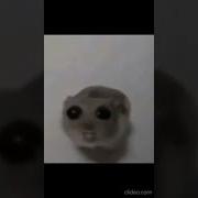 Дега Дега Дега Оооо