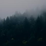 Gandzhu Hide Your Hands In The Fog