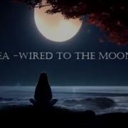 Chris Rea Wired To The Moon 2024