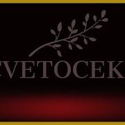 Cvetocek7 Sare Езидские Песни 2020