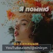 Dj Синицын Я Помню