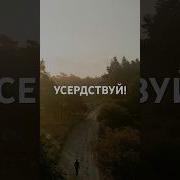 Шейх Усаймин
