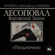 Лесоповал 2021