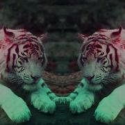 Everybody Needs A Kiss Benny Benassi Sofi Tukker