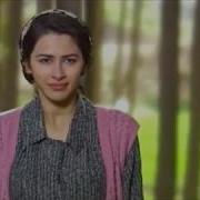 Восемь Дней Дилбер