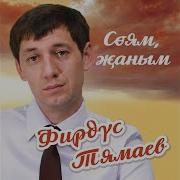 Китермэм Мин Сина Авырлык Фирдус Тямаев