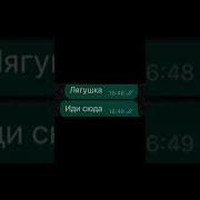 Бесим Свою Лп