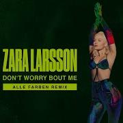 Zara Larsson Don T Worry Bout Me Alle Farben Remix