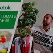 Богатый Урожай Овощей На Вашем Участке В Помощь Любимым Огородникам