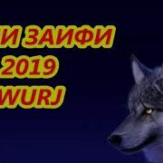 Саши Заифи 2019