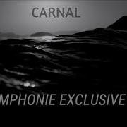 Carnal Symphonie Exclusive