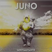 Juno En Tu Mundo