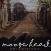 Moose Head Feat Grandhuit Ours Samplus