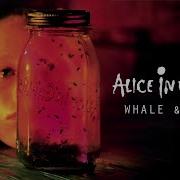 Alice In Chains Whale Wasp