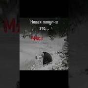 Машина Смерти Tiny Bunny